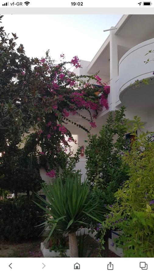 Danae Hotel فاليراكي المظهر الخارجي الصورة